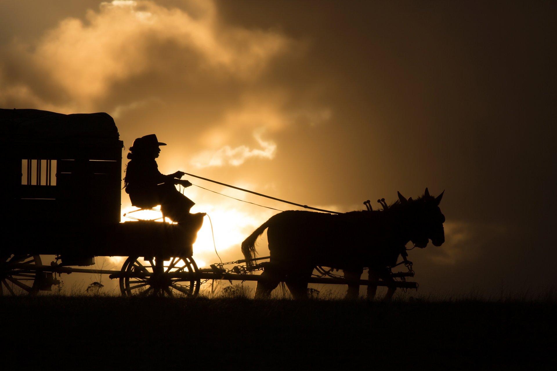 homesman lokal drama western tommy lee jones hilary swank