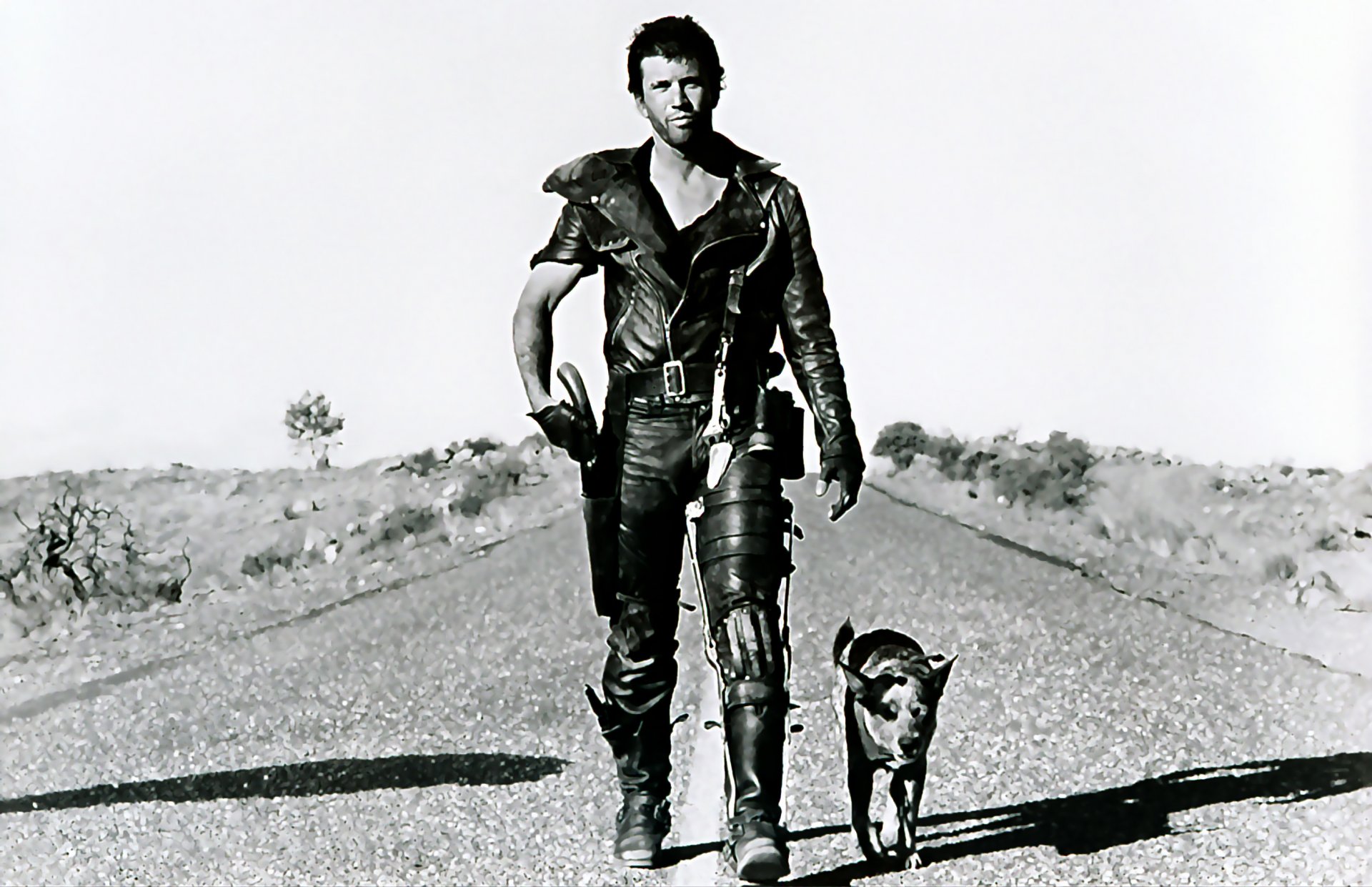 art mad max 2 guerrier de la route mel gibson post-apocalyptique chien route