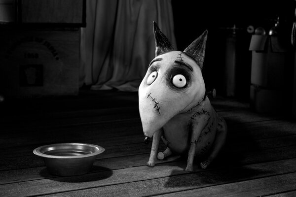 Perro en un tazón de dibujos animados de Frankenweenie