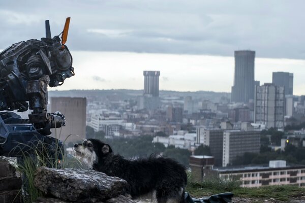 Ein Roboter namens Chappie mit einem Hund im Hintergrund der Stadt