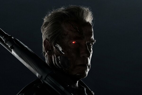 El viejo Schwarzenegger de Terminator