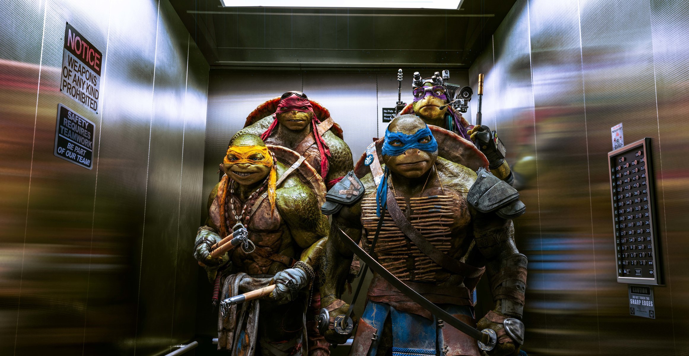 teenage mutant ninja turtles leonardo raphael michelangelo donatello