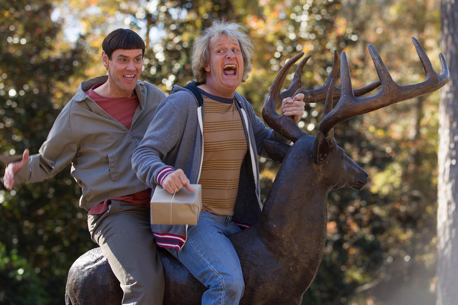 dumb and dumber 2 dumb and dumber to jim carrey lloyd christmas jeff daniels harry dunne