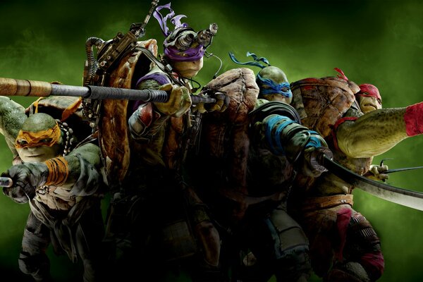 Figure. Teenage mutant ninja Turtles avec des armes