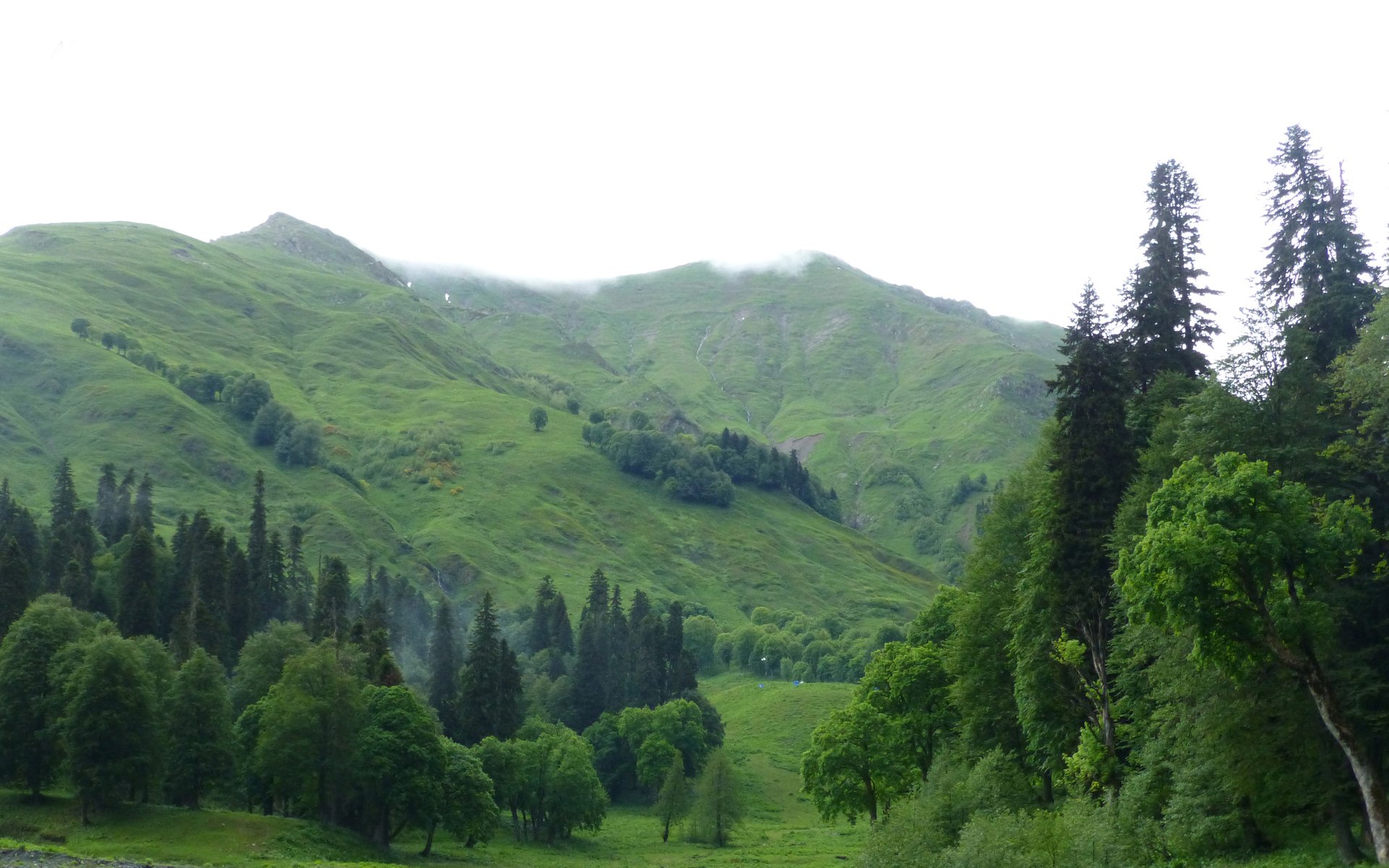 apsna: âme parmi les montagnes colchide nature collines