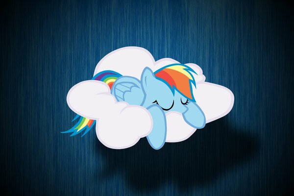 Ein kleines Rheinbou-Pony auf einer Wolke schläft