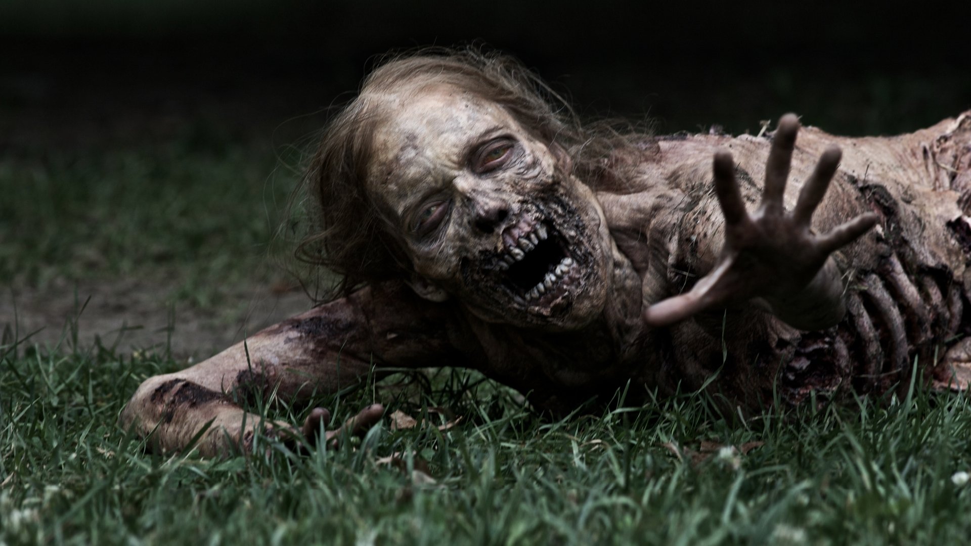 the walking dead the walking dead serial telewizyjny zombie trawa