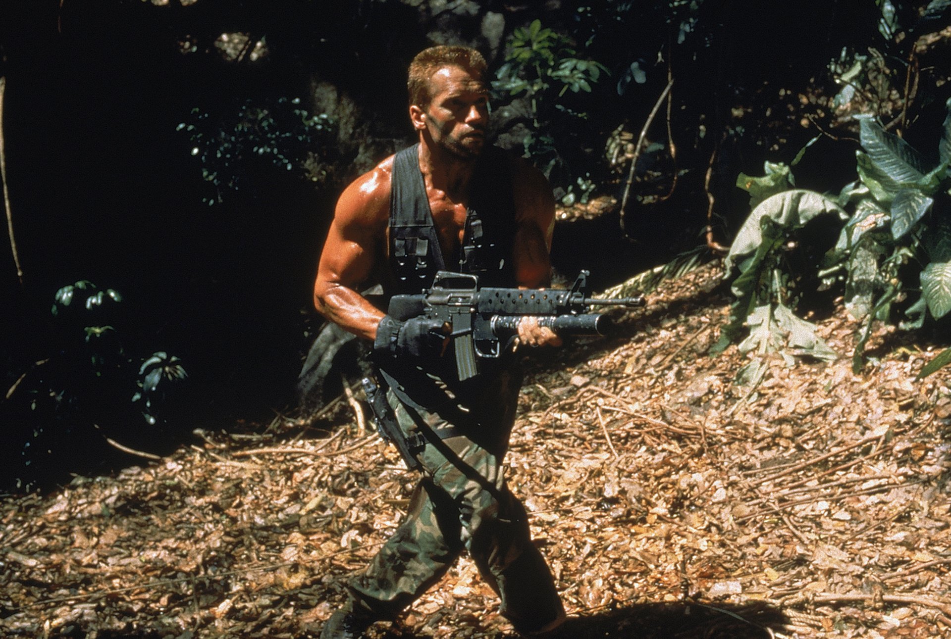 prédateur arnold schwarzenegger néerlandais soldat homme acteur jungle