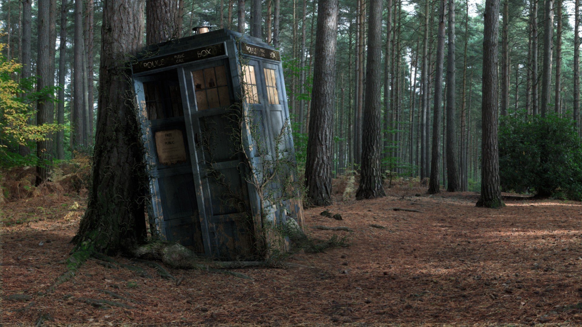 caja de la policía bosque madera caja tardis