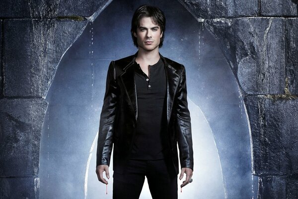 Vampire Diaries. Damon Salvatore