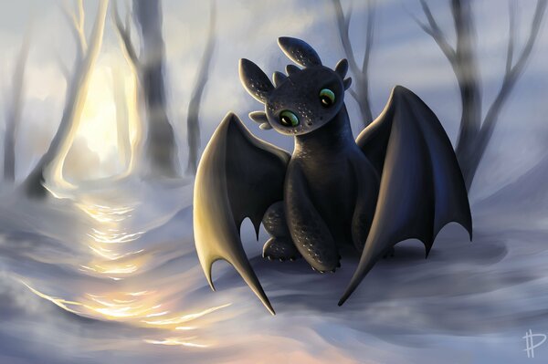 Art based on the cartoon how to train a dragon