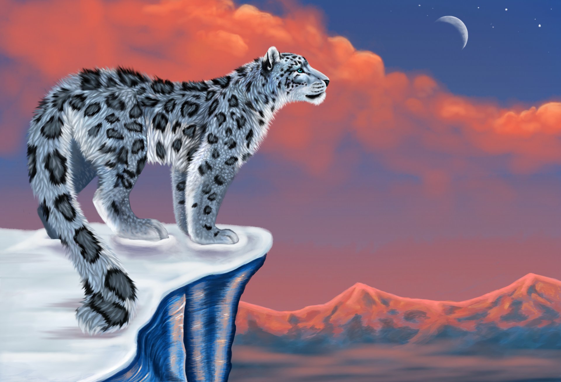 drawing snow snow leopard snow leopard moon mountain