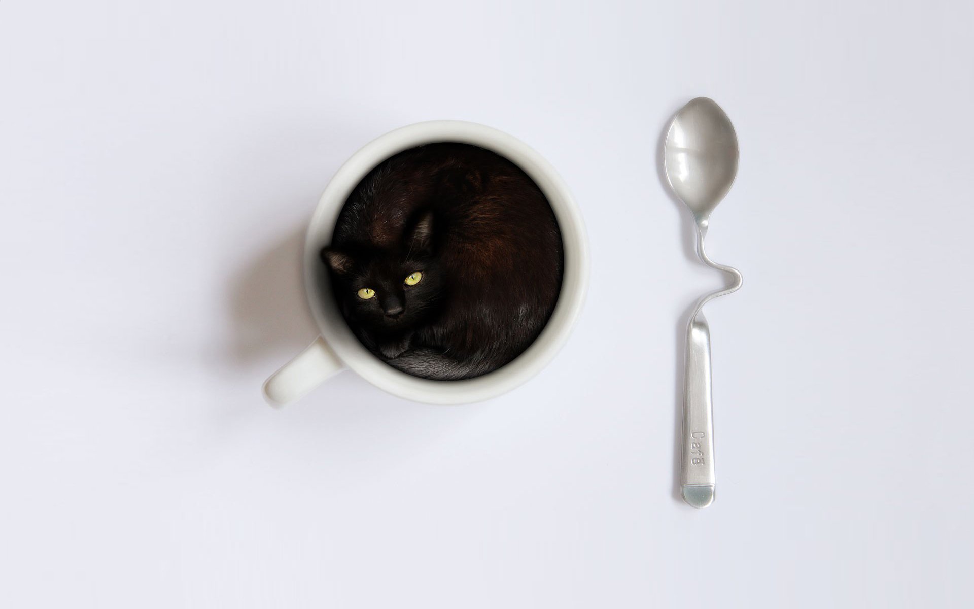 kitten cup spoon