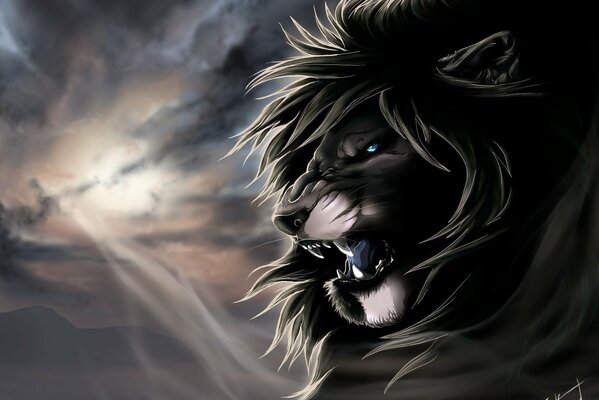 Lion muzzle anger in the dark