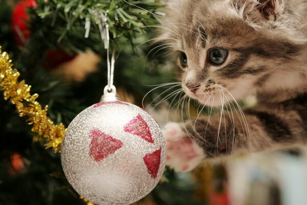 A kitten next to a Christmas tree decorated with Christmas toys