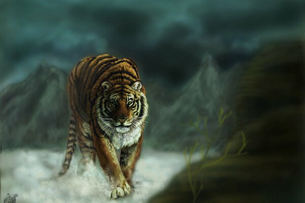 Тигр статный идёт в горах