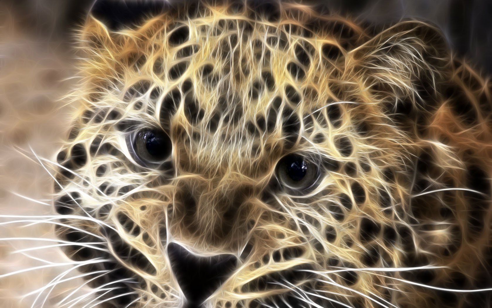 leopardo bestia elaborazione