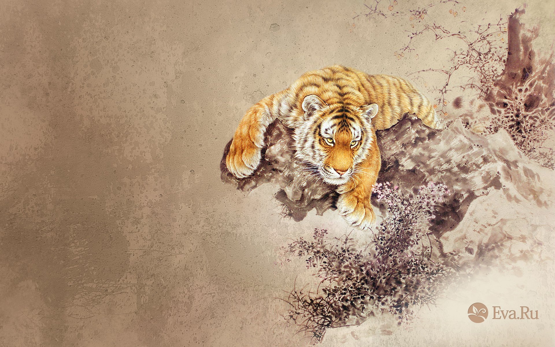 tigre animali disegno