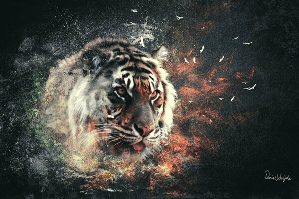 Testa di tigre su sfondo scuro
