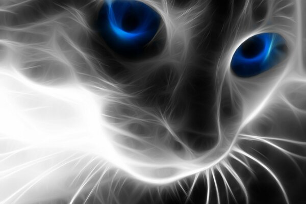 Immagine popolare del gatto con gli occhi blu in neon
