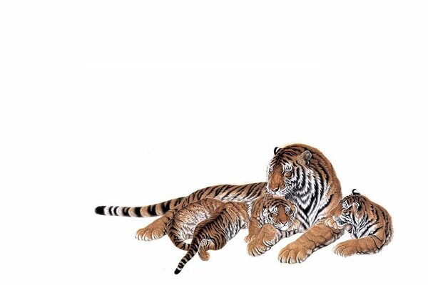 Тигрица лежит со своими малышами