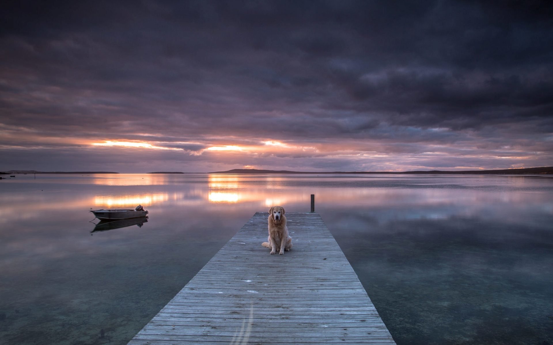 dog lake sunset bridge