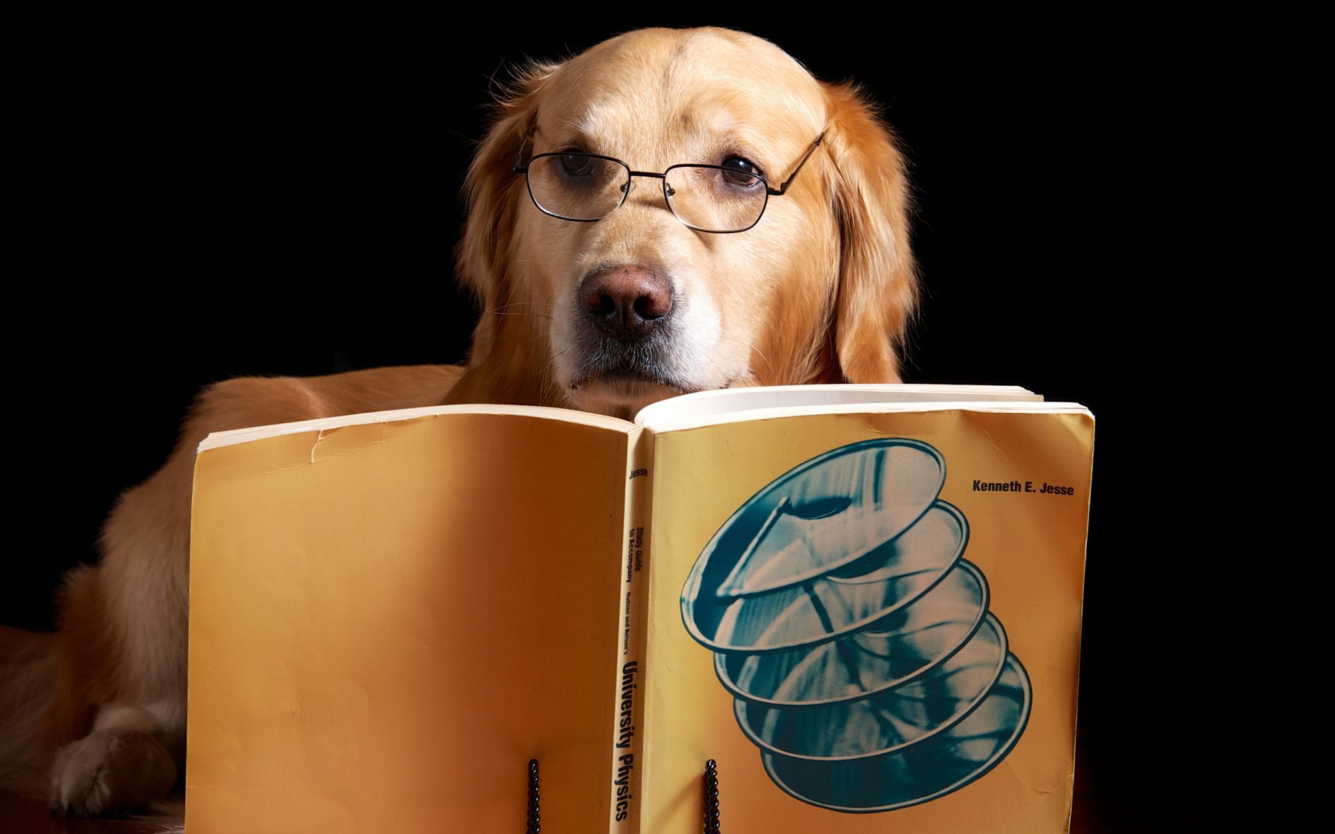 cane amico libro