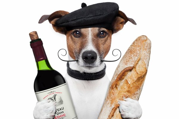 The dog chooses between bread and wine