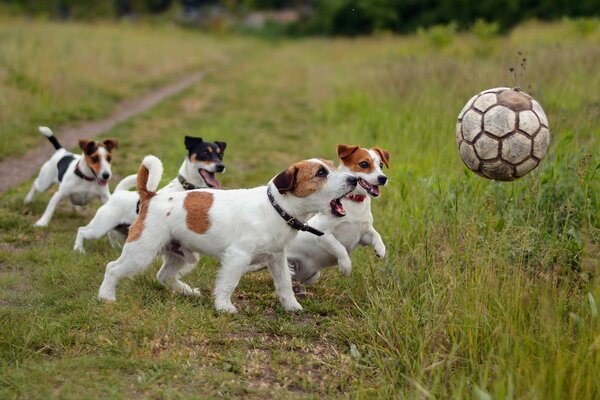 Gli srbak giocano a calcio con la palla