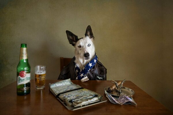 Perro con cerveza en una mesa de estilo empresarial