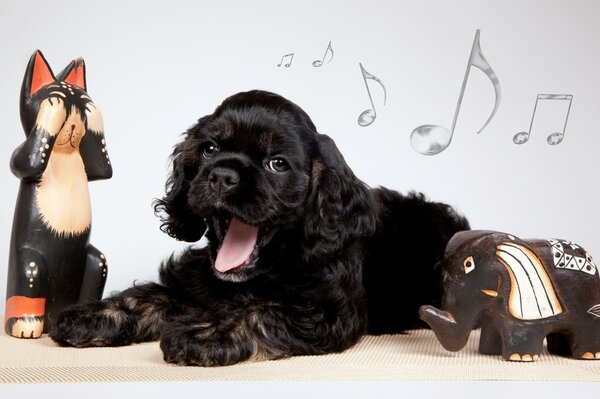 Chiot Cocker Spaniel sur fond de notes de bâillements