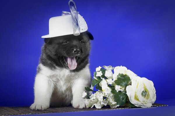 Regalo cachorro con sombrero con ramo de flores