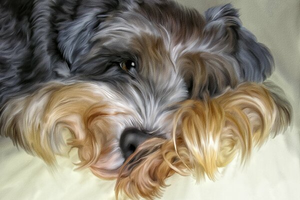 Perro peludo en la cama Photoshop