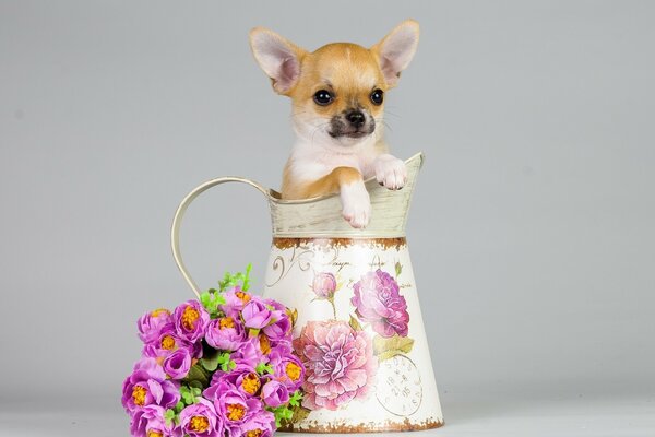 Welpe in einem Krug mit einem Blumenstrauß