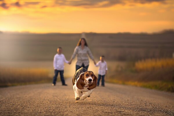 Un perro corriendo y una mujer con niños