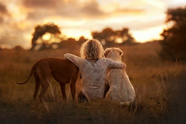 A girl with dogs. View from the back