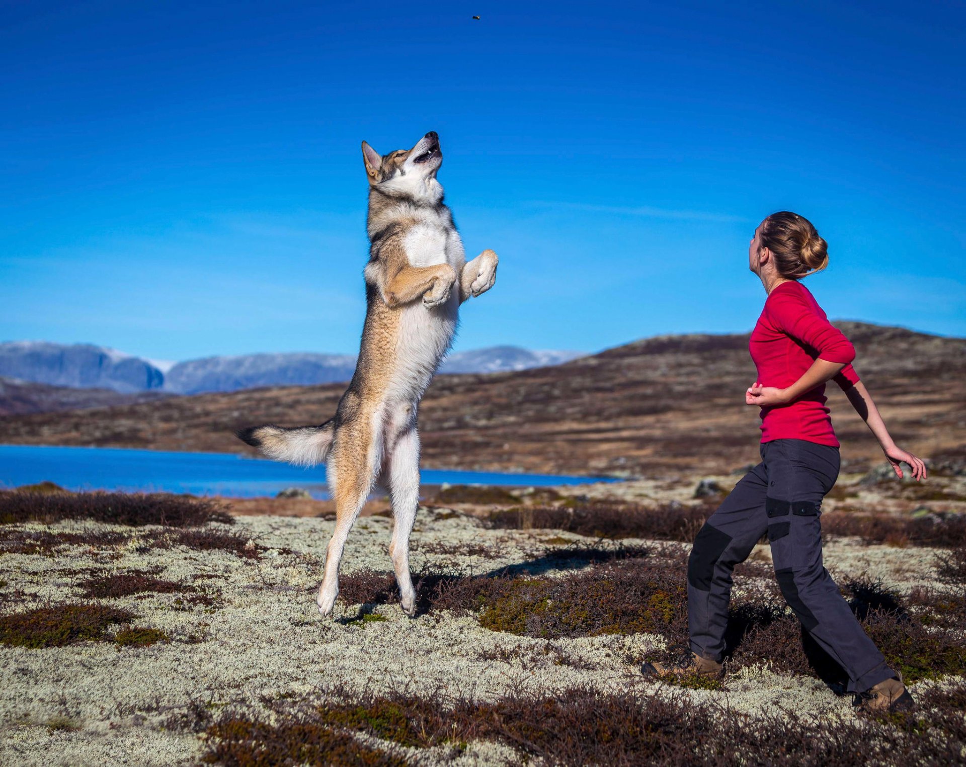 jumping girl dog game jump