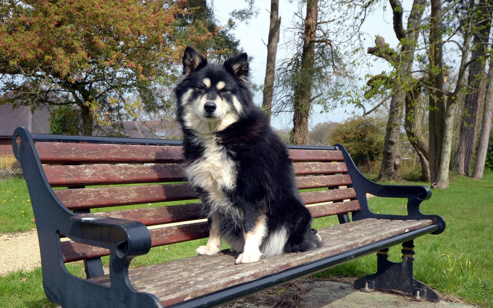 hund bank freund