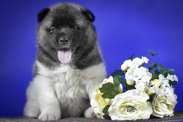 Милый щенок с букетом белых цветов