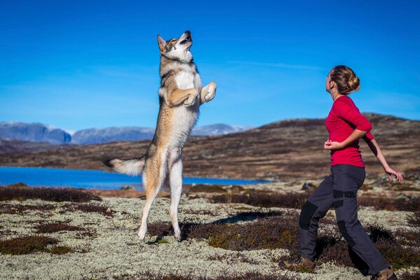 A girl trains a dog against the background of nature