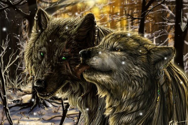 A wolf and a she-wolf in a cold winter forest