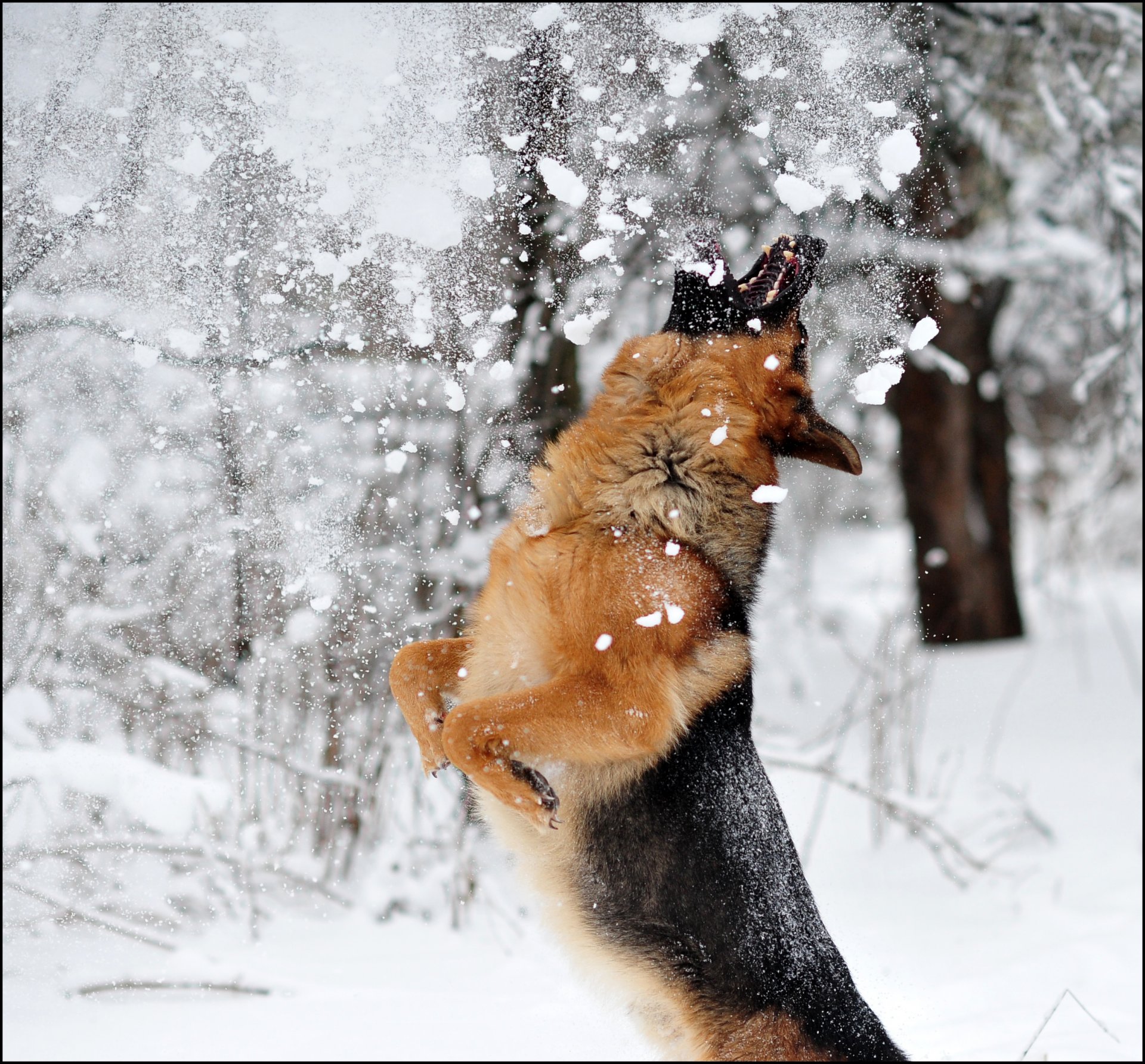 saut neige jeu hiver