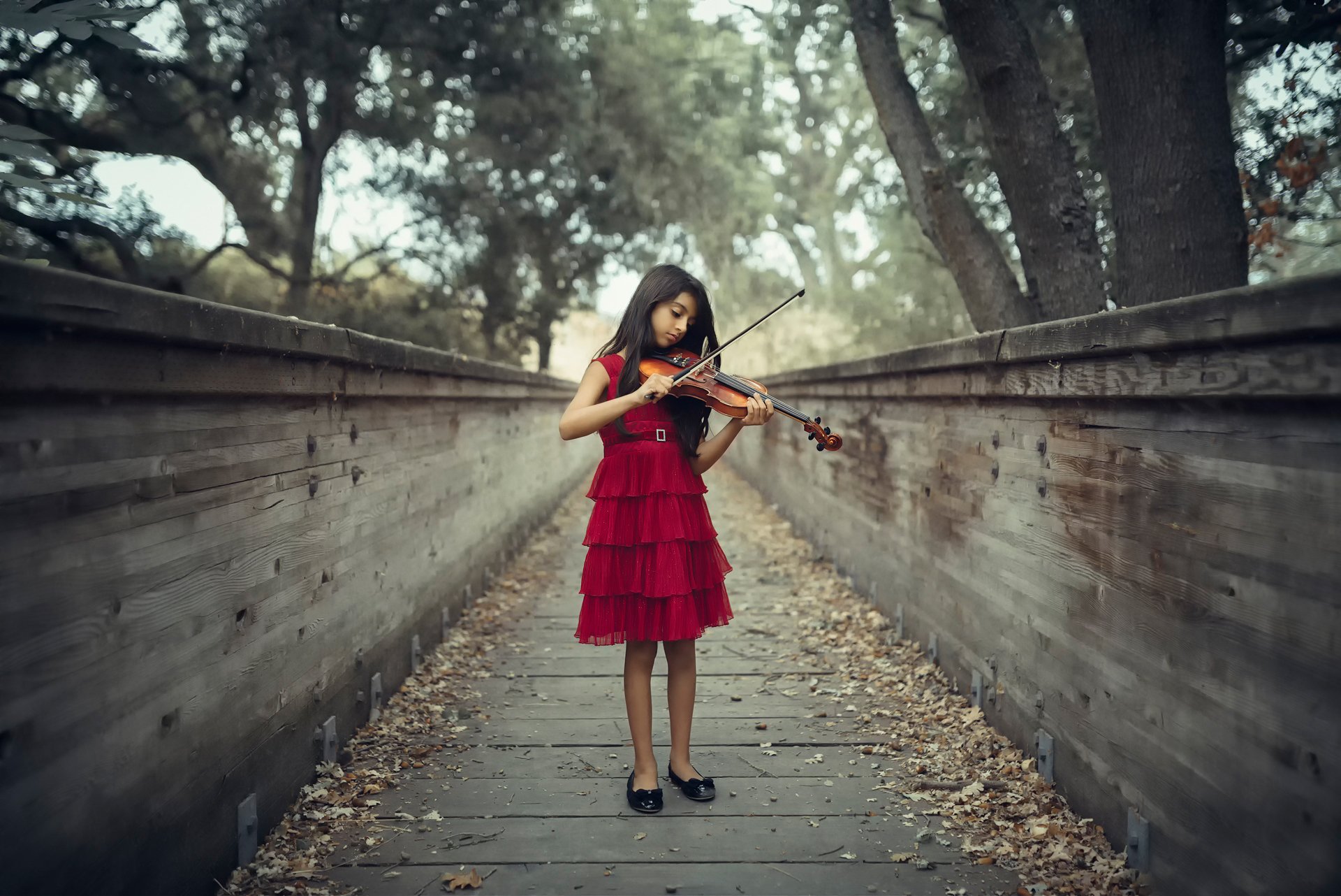 the violinist girl violin