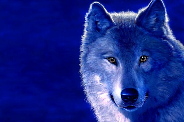 Disegno di un lupo su sfondo blu
