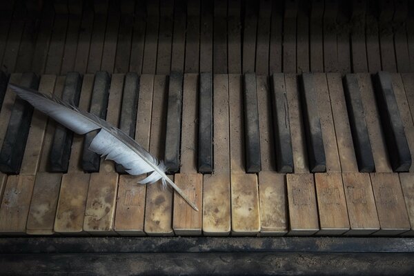 Piuma su un vecchio pianoforte polveroso