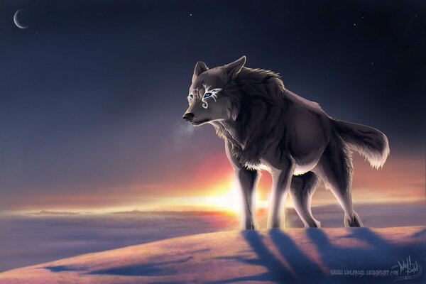 El lobo hermoso del Norte