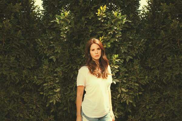 La cantante lana del rey de pie con una camiseta en el fondo de los arbustos