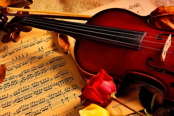 Violín y rosas en las notas