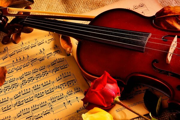 Violino e rose sulle note