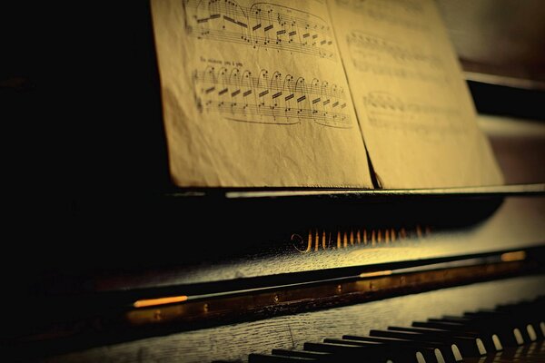 Macro photography: piano notes in the twilight